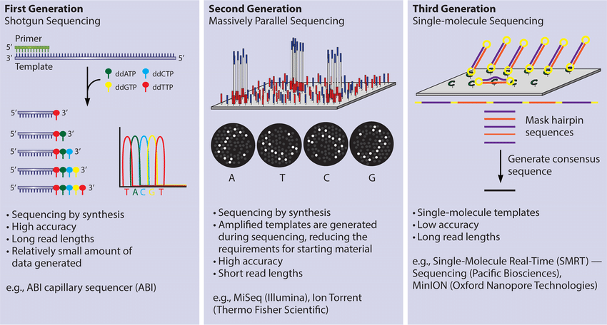 First-, second-, and third-generation sequencing platforms are currently available, and each has distinct advantages and disadvantages. First-generation  