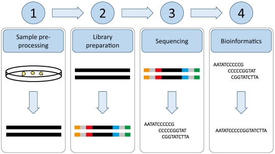 Generic workflow for NGS. First, the nucleic acid sample has to be extracted from the sample (e.g. blood, sputum, bone marrow, bacterial cultures, etc.)