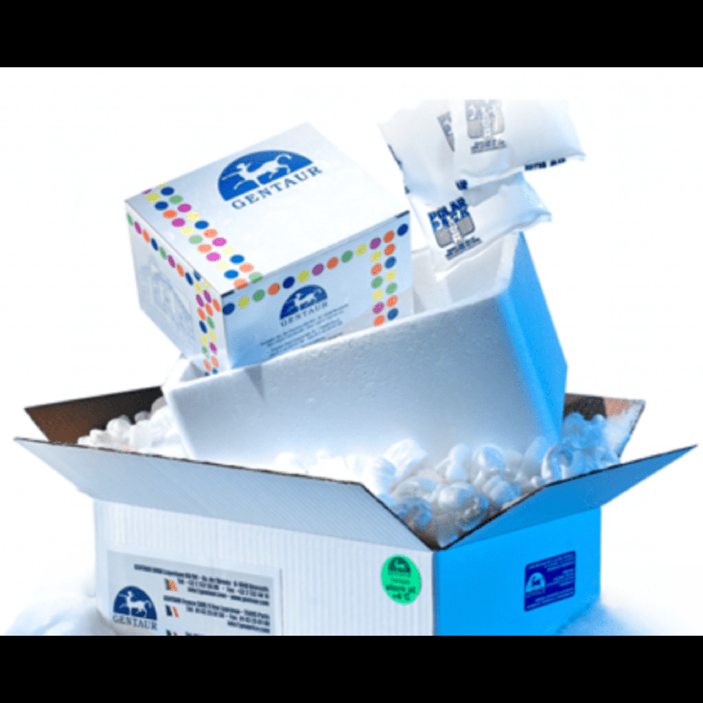 Annexin V-EGFP/PI Apoptosis Detection Kit Annexin V-EGFP/PI -20 T
