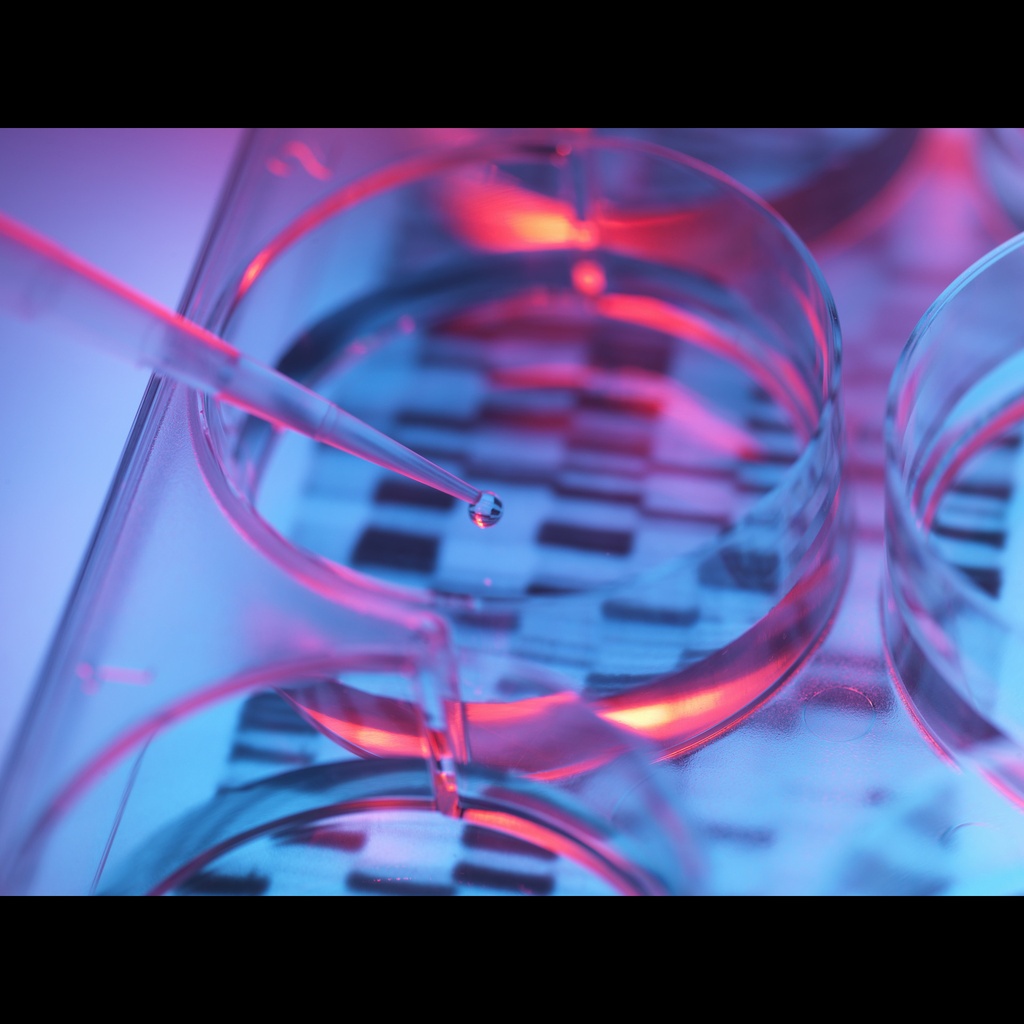[0062-GB-110M] Bovine Genomic DNA, Male