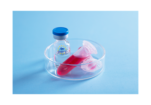 [GEN - PYT393-1mg] TNF a Rat