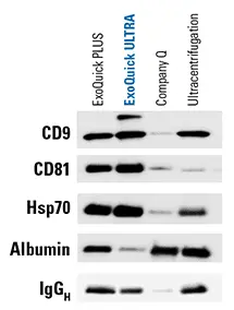 [EQULTRA-20A-1] ExoQuick Ultra (20 rxns)